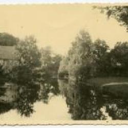 Muskusratverdelging op het kasteeldomein Wippelgem, jaren 1960
