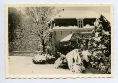 Paardenstal van het Kasteel van Wippelgem, jaren 1950
