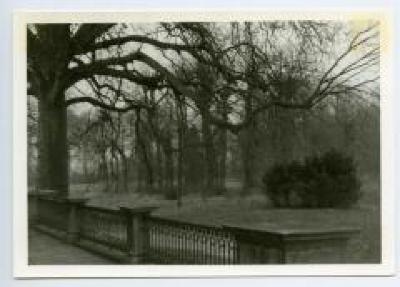 Park achter het Kasteel van Wippelgem, jaren 1960
