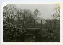 Serre bij het Kasteel van Wippelgem, jaren 1960