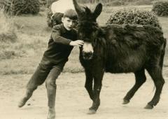 André Rossini spelend met een ezel