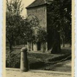 De schapen van het Kasteel van Wippelgem, jaren 1950