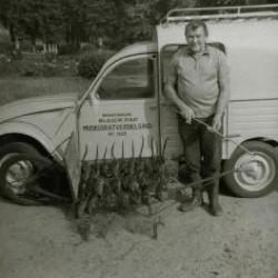 Achterzijde van het Kasteel van Wippelgem, omstreeks 1950