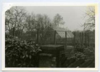 Serre bij het Kasteel van Wippelgem, jaren 1960