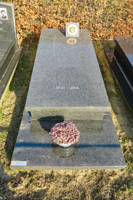 Van De Velde Clement