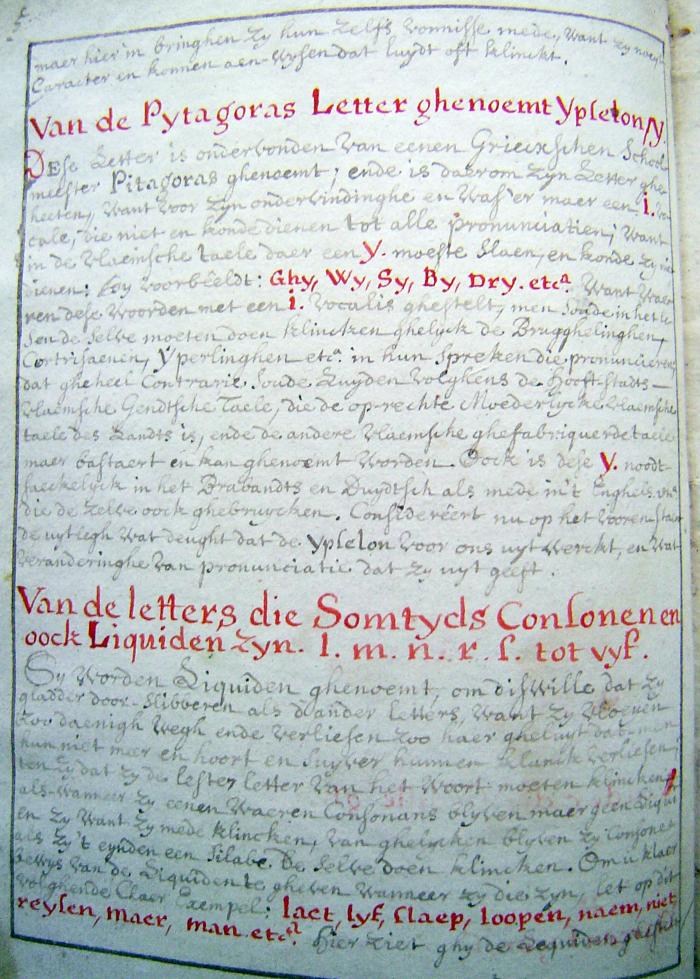 Sylvester Struyvelt Grammatica