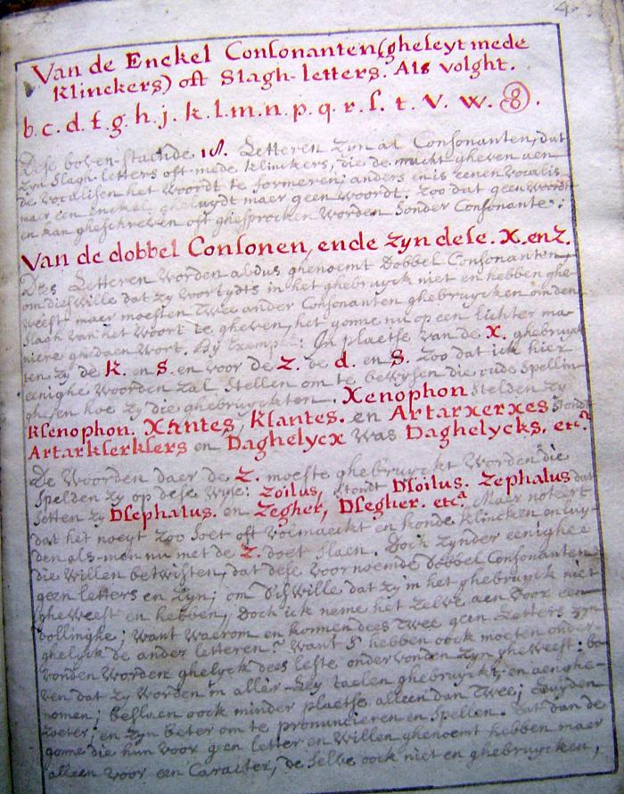 Sylvester Struyvelt Grammatica