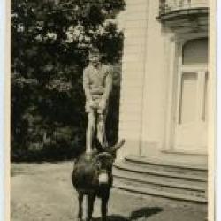 Koetshuis en boerderij bij het Kasteel van Wippelgem, jaren 1960