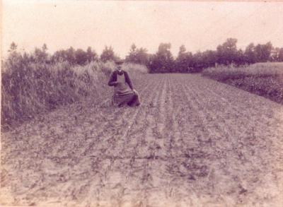 Joseph Aerens, uitvinder zaaimachine