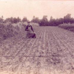 Joseph Aerens, uitvinder zaaimachine