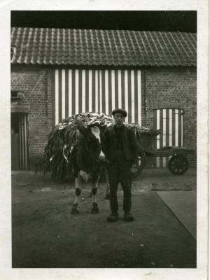 Landbouwer Raymond Van De Veire, Bassevelde