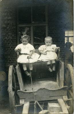 Kinderen op hondenkar omstreeks 1910