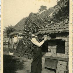 Duivenmelker Wippelgem, ca. 1950