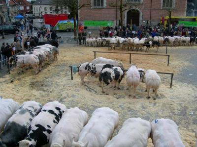 Vet Vee op de Vette Veemarkt