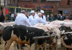 Keurders keuren vet vee