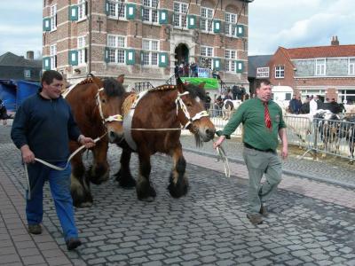 Trekpaarden passeren de revue op de Vette Veemarkt