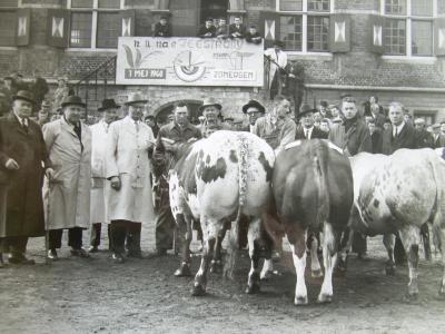 Vet Vee op de Vette Veemarkt van 1960