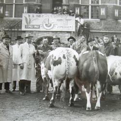 Vet Vee op de Vette Veemarkt van 1960