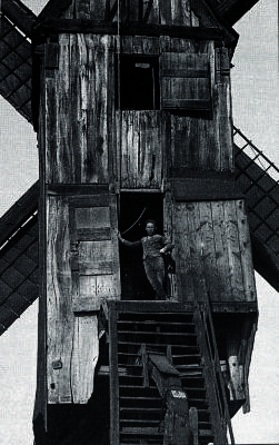 Kuitenbergmolen Evergem-Belzele