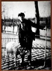 Herder met staf en schaap