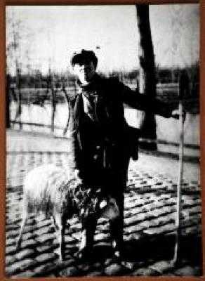 Herder met staf en schaap