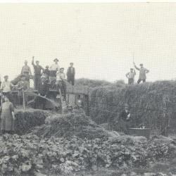 Landbouwer Raymond Van De Veire, Bassevelde