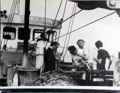 "De Eenige Zoon" van Karel Verschraegen