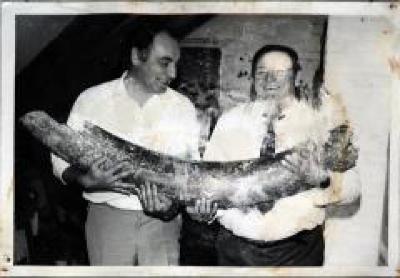 Archeologische vondsten in Boekhoute