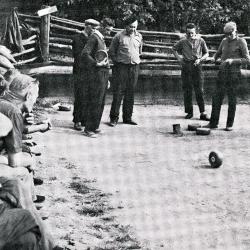 Groep krulbolders, Ertvelde