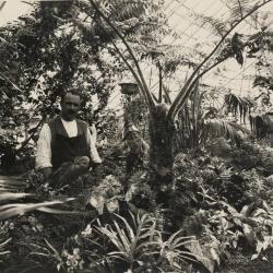 In de serre boven het koetshuis van Villa Pinehurst, jaren 1920