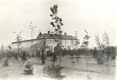 De twee serres achter het koetshuis bij Villa Oaklands in Eeklo
