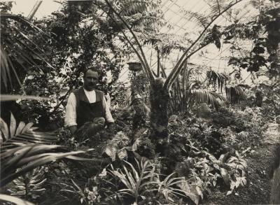 In de serre boven het koetshuis van Villa Pinehurst, jaren 1920