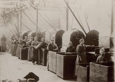 Arbeidsters Haarsnijderijfabriek Enke, ca. 1896