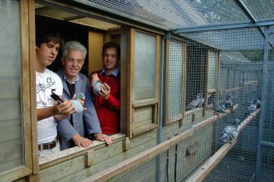 Duivensport in Knesselare