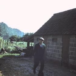 Eerste tractor op het erf, Sint-Laureins