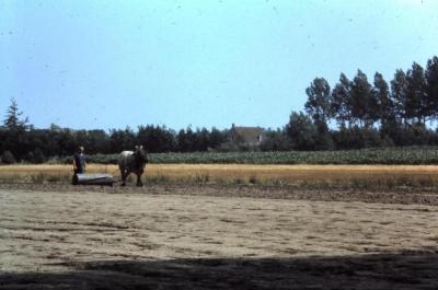 Rollen van het veld, Waarschoot, jaren 1960