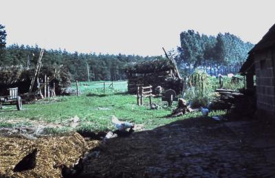 Hoeve Dossche, Lembeke, jaren 1960