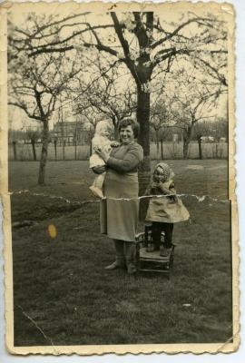 In de hoogstamboomgaard met Keizerinneperen