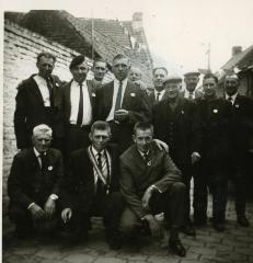 Koningviering krulbol, Ertvelde