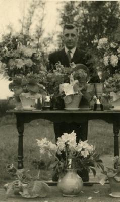 Huldiging krulbolder, Tack Robert, Ertvelde, 1951