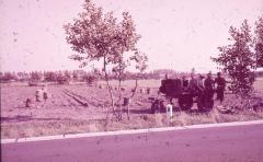 Aardappelen rooien, Lembeke