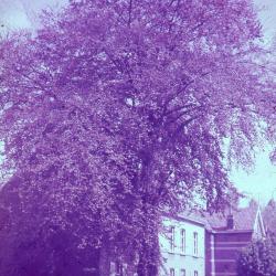 Middelklas Boekhoute, 1911