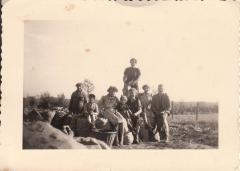 Aardappelen rapen door familie Wauters, Kaprijke (?)