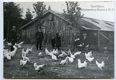 Kippenkwekerij Wauters & De Vos, Oosteeklo