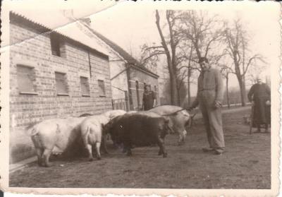 Margriet Lippens en Cyriel Wauters op het erf, Karpijke