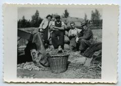 Poseren met de verse oogst