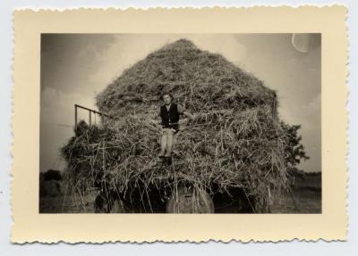Agnes Boelens op het graan, Bassevelde