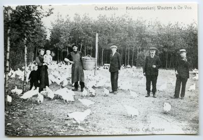 Kippenkwekerij Wauters & De Vos, Oosteeklo
