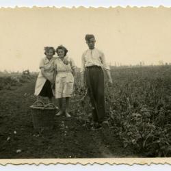 Eerste tractor van de familie Audenaert