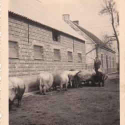 Kinderen tijdens de oorlogsjaren, Sint-Laureins